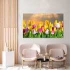 Quadro Decorativo Flores Tulipa Coloridas 1 Peça
