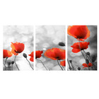 Quadro Decorativo Flores Vermelho E Cinza 70x150 Trio