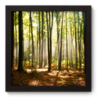 Quadro Decorativo - Floresta - 22cm X 22cm - 074qnpap
