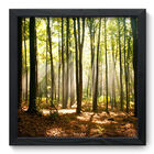 Quadro Decorativo - Floresta - 33cm X 33cm - 074qnpbp
