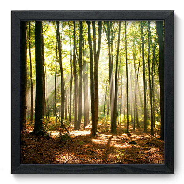Quadro Decorativo - Floresta - 33cm X 33cm - 074qnpbp