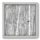 Quadro Decorativo - Floresta - 33cm X 33cm - 105qdpb