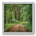 Quadro Decorativo - Floresta - 33cm X 33cm - 122qdpb