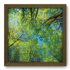 Quadro Decorativo - Floresta - 33cm X 33cm - 123qdpm