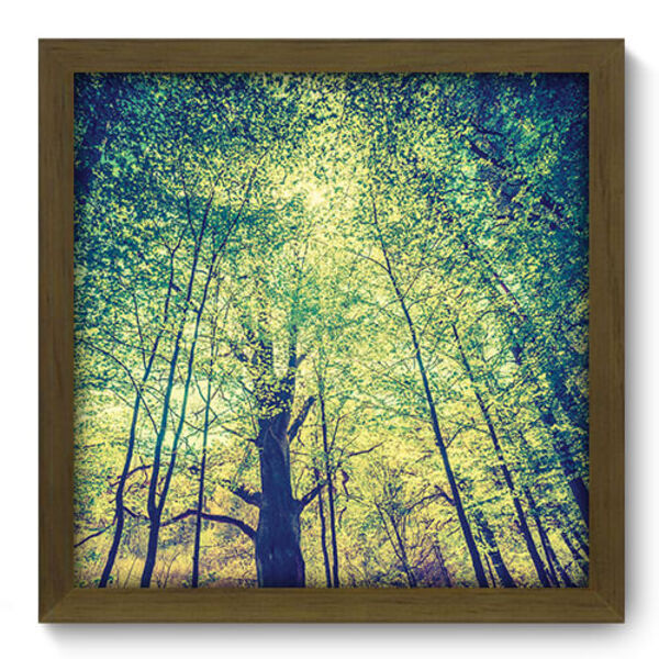 Quadro Decorativo - Floresta - 33cm X 33cm - 277qddm