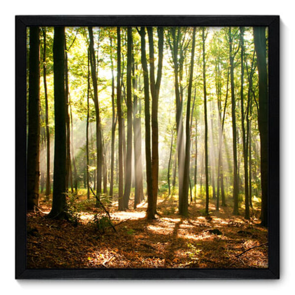 Quadro Decorativo - Floresta - 50cm X 50cm - 074qnpcp