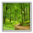 Quadro Decorativo - Floresta - 50cm X 50cm - 139qnpcb