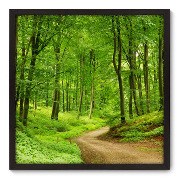 Quadro Decorativo - Floresta - 70cm X 70cm - 139qnpdp