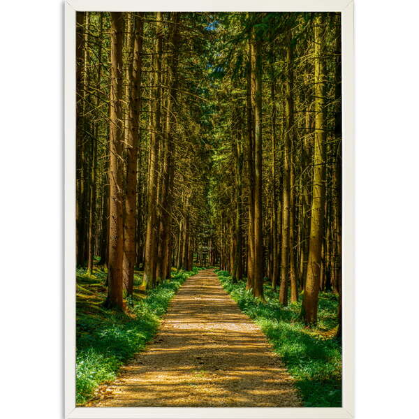 Quadro Decorativo Floresta Ii Moldura Sem Vidro Branco