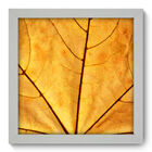 Quadro Decorativo - Folha - 22cm X 22cm - 011qndab
