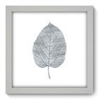Quadro Decorativo - Folha - 22cm X 22cm - 024qndab