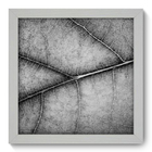 Quadro Decorativo - Folha - 22cm X 22cm - 029qndab