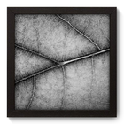 Quadro Decorativo - Folha - 22cm X 22cm - 029qndap
