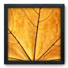 Quadro Decorativo - Folha - 33cm X 33cm - 011qndbp
