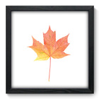 Quadro Decorativo - Folha - 33cm X 33cm - 162qddp