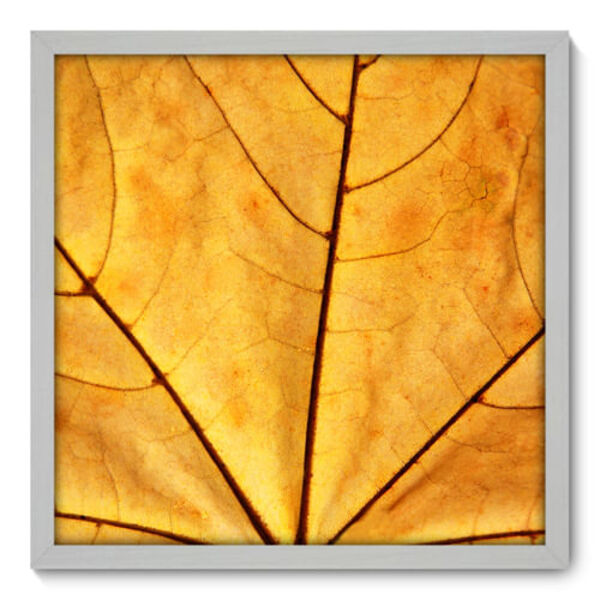 Quadro Decorativo - Folha - 50cm X 50cm - 011qndcb