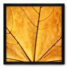 Quadro Decorativo - Folha - 50cm X 50cm - 011qndcp