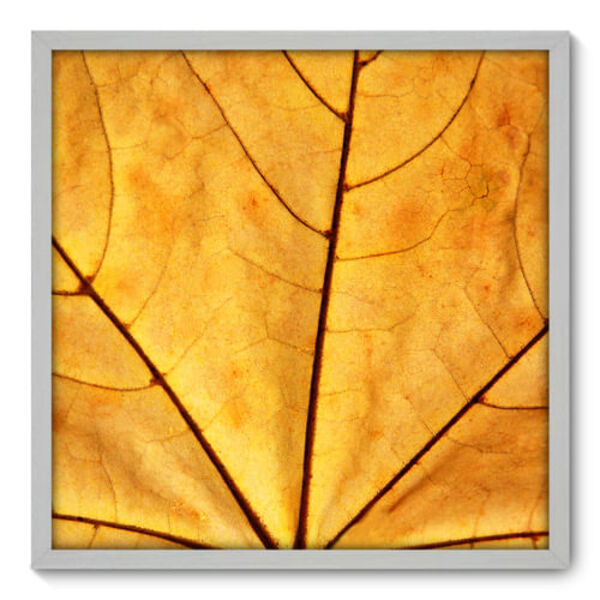 Quadro Decorativo - Folha - 70cm X 70cm - 011qnddb