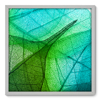 Quadro Decorativo - Folha - 70cm X 70cm - 015qnddb