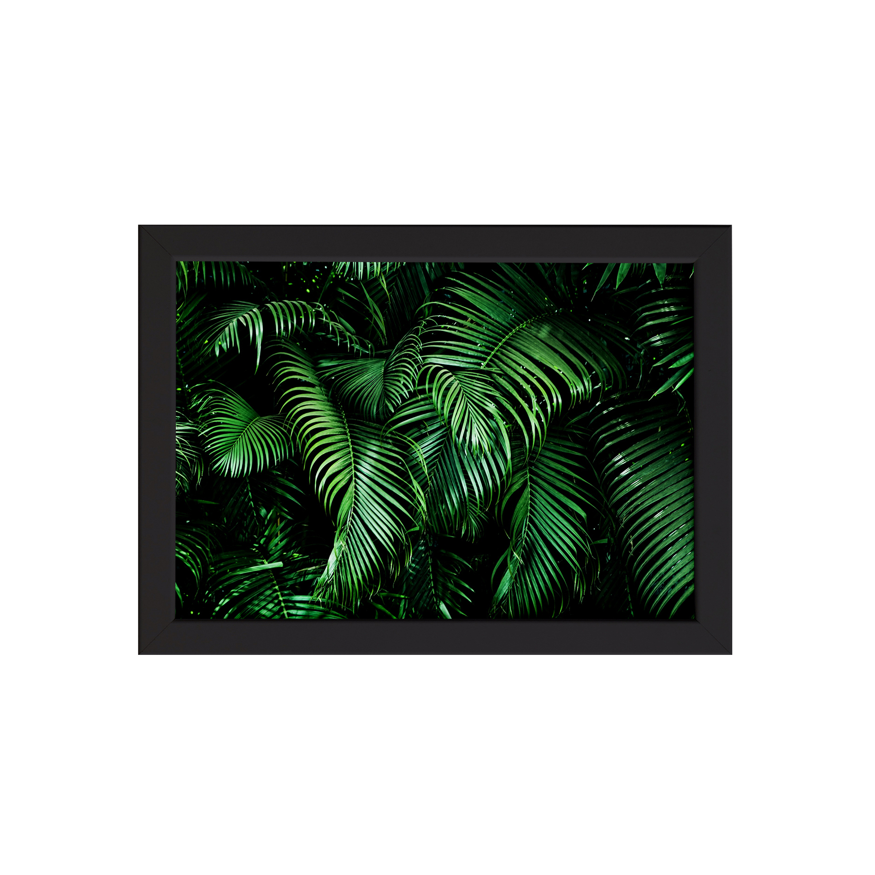 Quadro Decorativo Folhagem Folha 2 Moldura Preta 22x32cm | Leroy