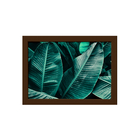Quadro Decorativo Folhagem Folha Moldura Marrom 33x43cm