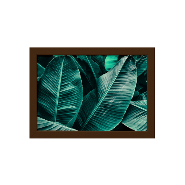 Quadro Decorativo Folhagem Folha Moldura Marrom 33x43cm