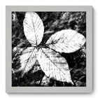 Quadro Decorativo - Folhas - 22cm X 22cm - 058qddb