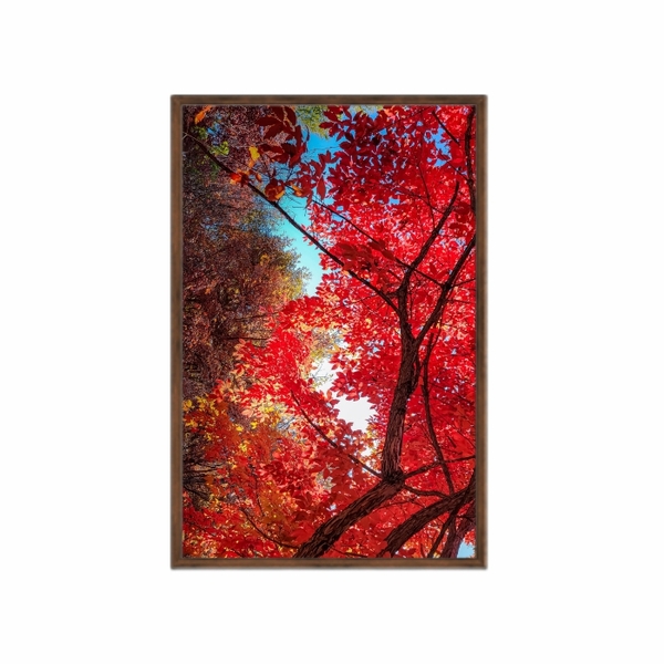 Quadro Decorativo Folhas 40x60cm Vidro Galhos Outono Flnt093