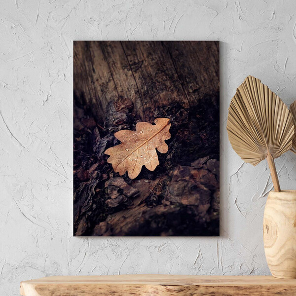 Quadro Decorativo Folhas E Flores Folha Sobre Tronco - 200x10