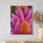 Quadro Decorativo Folhas E Flores Serenata Das Pétalas - 100x