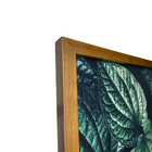 Quadro Decorativo com Vidro e Moldura de Madeira Folhas II Premium Verde 50x50cm