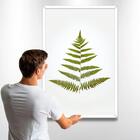 Quadro Decorativo Folhas Pinheiro 60x90x2,8 Pvc Luven Bra