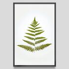 Quadro Decorativo Folhas Pinheiro 60x90x2,8 Pvc Luven Pre