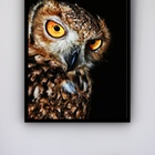 Quadro Decorativo Foto Coruja Marrom  - 70x50cm Moldura Preta