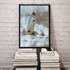 Quadro Decorativo Foto Coruja Voando 33x24cm - Com Vidro Mold