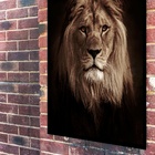 Quadro Decorativo Foto Leão Fundo Preto  - 70x50cm Moldura Pr