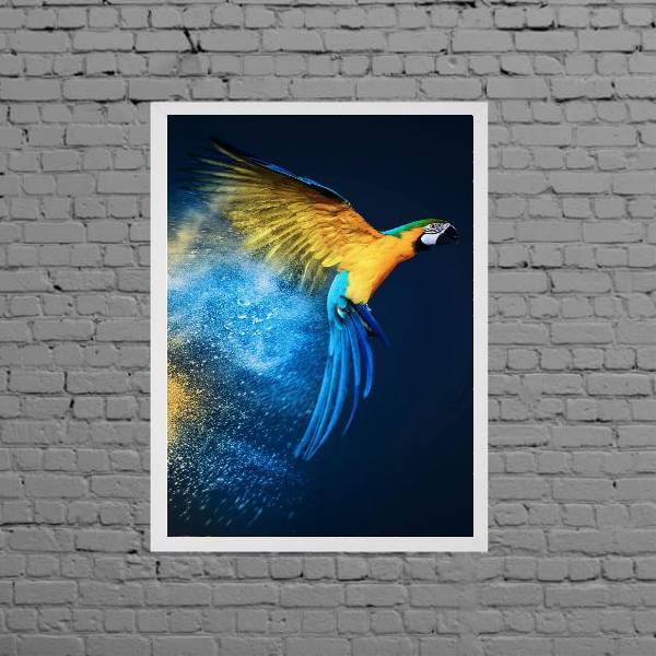 Quadro Decorativo Fotografia Arara 24x18cm Moldura:madeira Br