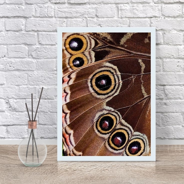 Quadro Decorativo Fotografia Asa De Borboleta 45x34cm Moldura