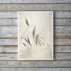 Quadro Decorativo Fotografia Branca Borboleta 45x34cm - Com V