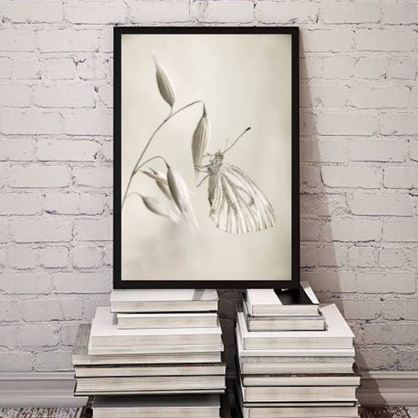 Quadro Decorativo Fotografia Branca Borboleta 45x34cm - Com V