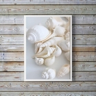 Quadro Decorativo Fotografia Branca Conchas 33x24cm Moldura:m