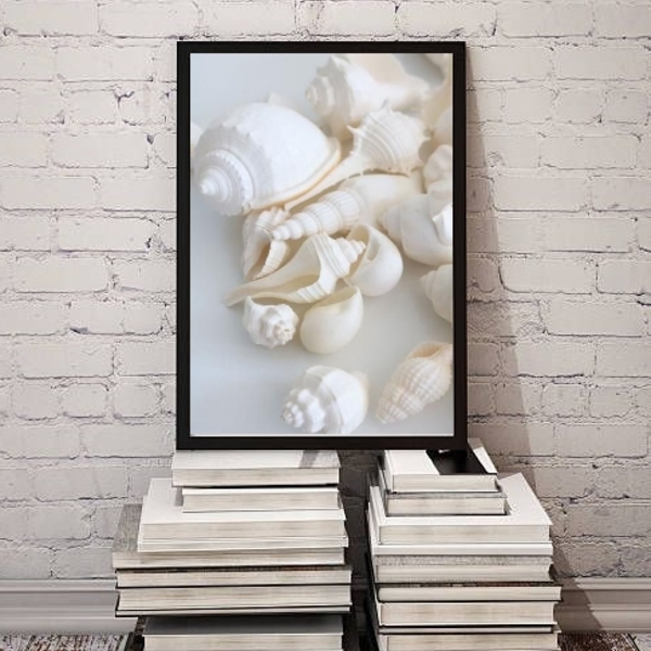 Quadro Decorativo Fotografia Branca Conchas 45x34cm - Com Vid