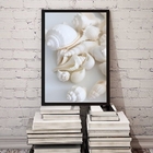 Quadro Decorativo Fotografia Branca Conchas 45x34cm Moldura:m