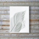 Quadro Decorativo Fotografia Branca Pena 33x24cm Moldura:made