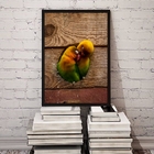 Quadro Decorativo Fotografia Casal De Periquitos 33x24cm Mold