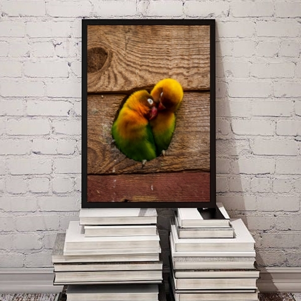 Quadro Decorativo Fotografia Casal De Periquitos 45x34cm Mold