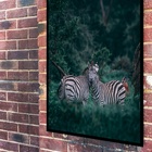 Quadro Decorativo Fotografia Casal Zebras Floresta  -70x50cm