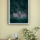 Quadro Decorativo Fotografia Casal Zebras Floresta  -70x50cm