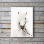 Quadro Decorativo Fotografia Cavalo Branco 33x24cm - Com Vidr