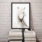 Quadro Decorativo Fotografia Cavalo Branco 33x24cm - Com Vidr